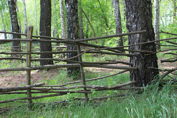 Traditional village lath wooden fence around a forest park