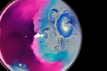Macro shots of colorful wild growing bacteria and molds in a petri dish.