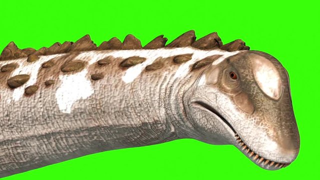 Dinosaur Titanosaur Walks Face Green Screen 3D Rendering Animation Jurassic World