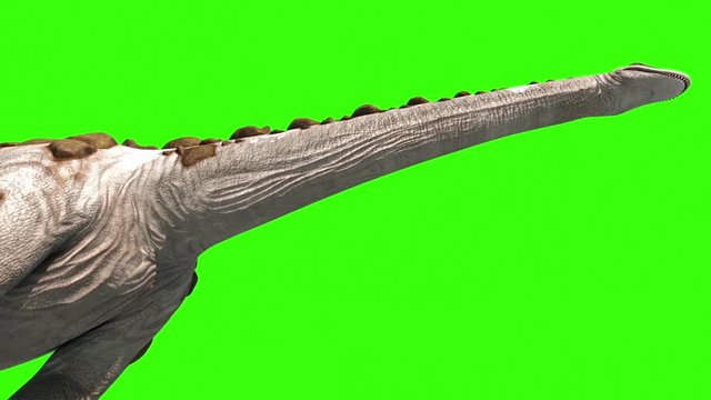 Dinosaur Titanosaur Walks Neck Green Screen 3D Rendering Animation Jurassic World