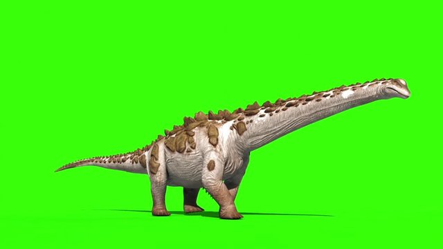 Dinosaur Titanosaur Walks Side Green Screen 3D Rendering Animation Jurassic World