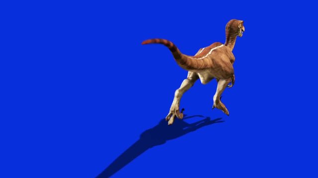 raptor dinosaur run loop alpha Side view, Stock Video