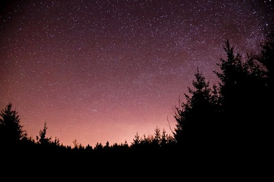 Dark night starry sky with blue milky way, pink, blue, mauve, magenta colors, silhouettes of trees on black horizon