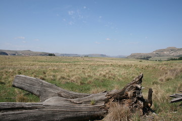 Fototapeta premium landscape