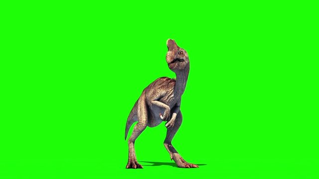 Oviraptor Dinosaurs Attack Green Screen Jurassic World 3D Rendering Animation