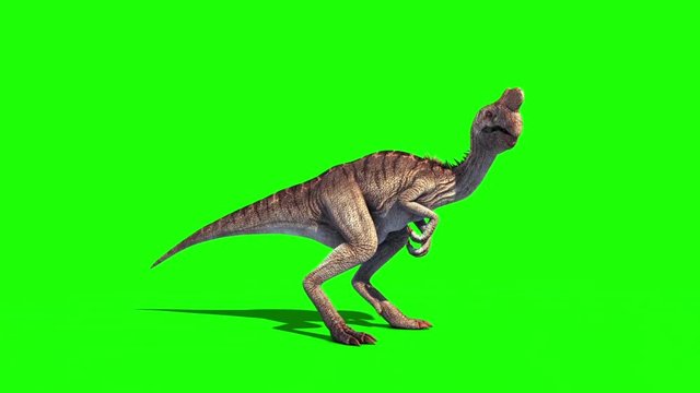 Oviraptor Dinosaurs Attack Green Screen Side Jurassic World 3D Rendering Animation