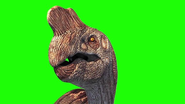 Oviraptor Dinosaurs Attack Green Screen Close up Jurassic World 3D Rendering Animation