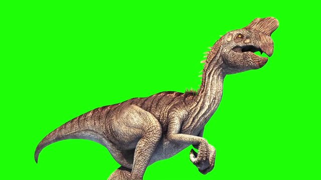 Oviraptor Dinosaurs Run Cycle Down Green Screen Jurassic World 3D Rendering