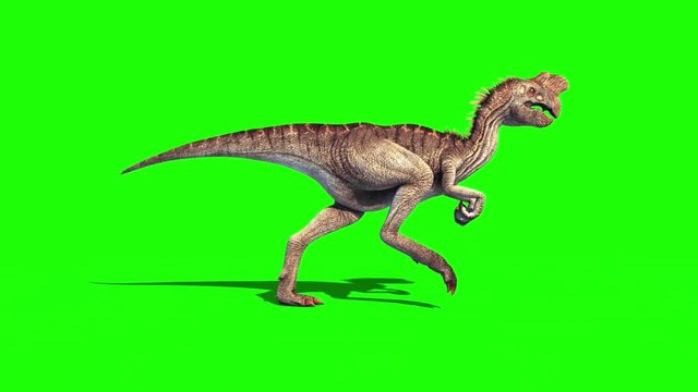 Oviraptor Dinosaurs Run Cycle Green Screen Jurassic World 3D Rendering