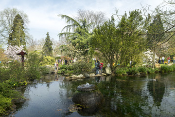 japanese garden leverkusen