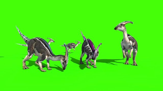 Parasaurolophus Jurassic World Dinosaurs Green Screen 3D Rendering Animation