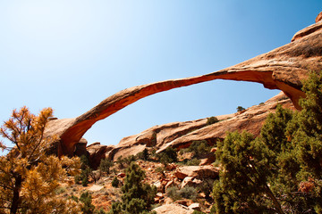 Landscape Arch in the summer
