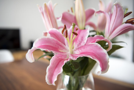 Bouquet pink lily flowers in glass vase on wood table in room.