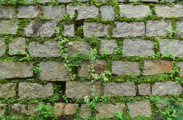 Stone brick wall texture and grass for background.