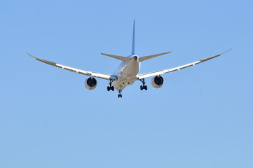 Fototapeta na wymiar Avión de línea Boeing 787 aterrizando en Madrid Barajas