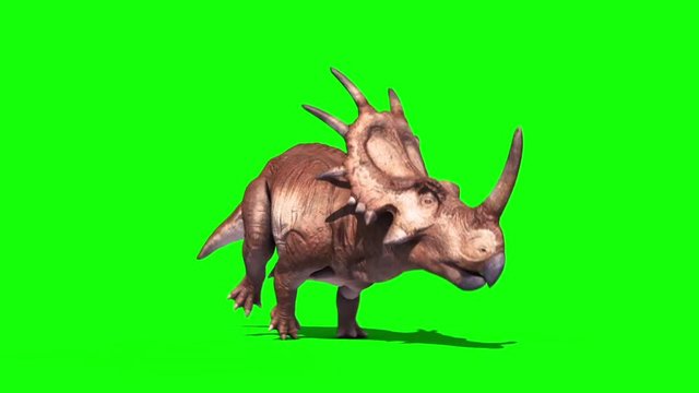 Styracosaurus Triceratops Run Perspective Static Loop Dinosaurs Jurassic Green Screen