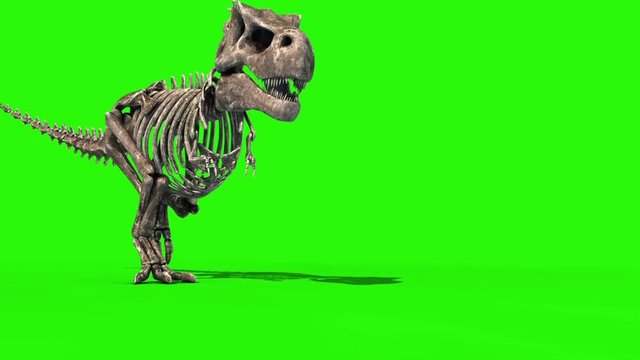 TRex Skeleton Walk Jurassic World 3D Rendering green Screen