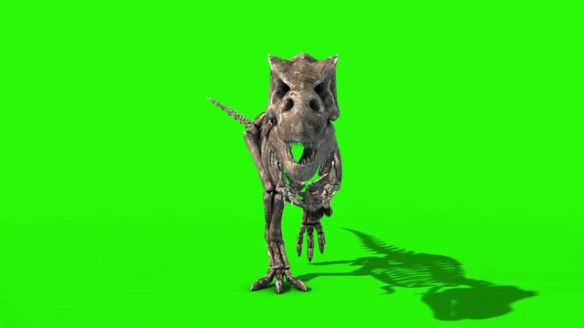 TRex Skeleton Walk Static Front Jurassic World 3D Rendering green Screen