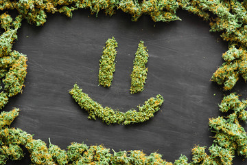 A lot of marijuana Smile, fresh buds of cannabis many weed.