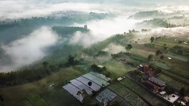 Misty morning at Tebing Keraton West Java Indonesia