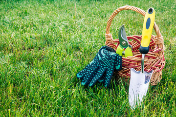 Small hand garden trowel, pruner and gloves with wicker basket in green grass