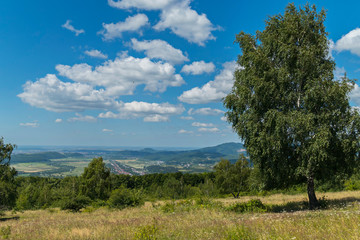 Fototapeta premium Big proud green birch in a field against a backdrop of a mountain ridge and a blue sky