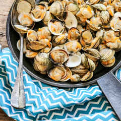 entrée froide de coques nature 2