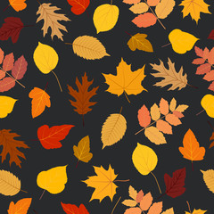 Seamless pattern autumn colorful leaves background