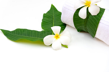 Frangipani plumeria Spa Flower on white wooden.  Thai Spa.  Healthy Concept.