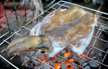 Grill Fresh soft cuttle fish