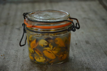 conserve de moules au naturel
