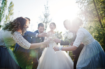 Wedding couple and groomsmen with bridesmaids drinking champagne outdoors in the park or garden.