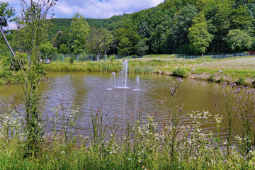 A small pond with a bank of overgrown wildflowers and water fountains beating in the middle of it. A hot summer day and people resting sitting on a bench next to him.