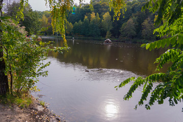 Pond with small shelters, similar to small houses of dwarfs, in which ducks swim. Probably these shelters are made especially for them