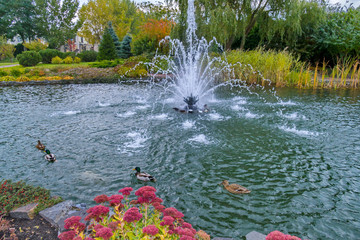 pond stretched between the magnificent flower beds and ducks floating around the fountain in the middle of the pond