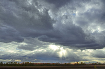 Cloudy sky with thick dense clouds that tightened the whole sky and thin rays of the sun trying to break through them on the field with the trees below.