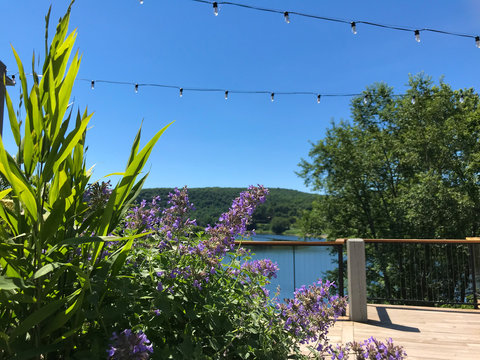 Summer in Narrowsburg, NY