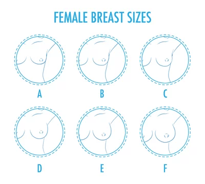 Set of contour round icons of different female breast size, body Stock  Vector