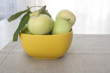 Apples