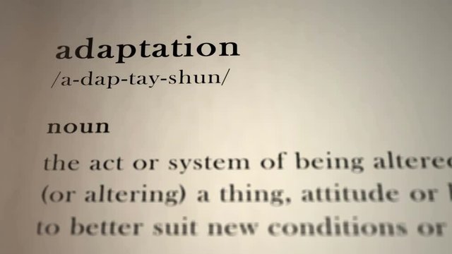 Adaptation Definition