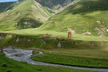Caucasus mountains, Truso Gorge near the Kazbegi city