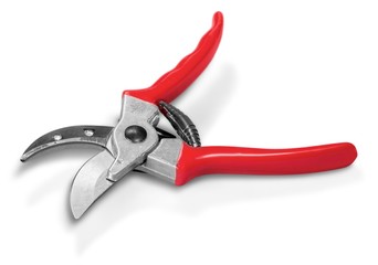 Pruning Shears