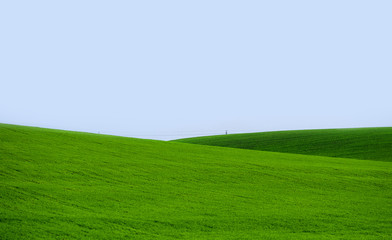 Obraz premium Hilly green field 