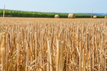 Ernte auf dem Land Heubalen 