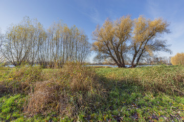 Fototapeta premium Autumn colored Scenery at Urdenbacher Kaempe at Duesseldorf / Germany
