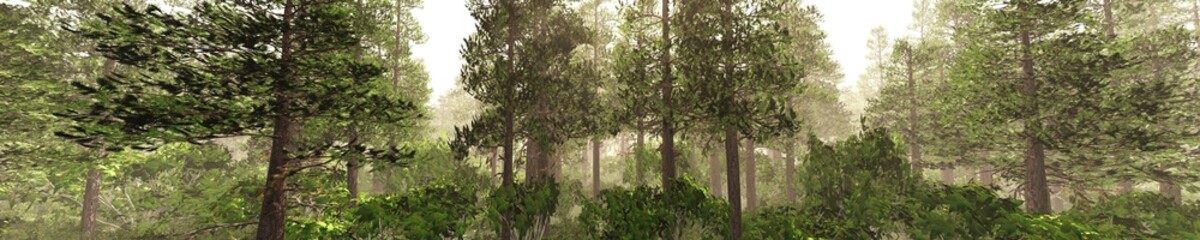 Panorama of a forest in the fog at sunset. Trees in the fog. Light above the left.
3D rendering
