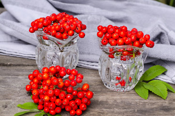 red ripe mountain ash (sourbus)