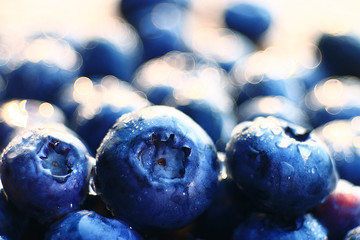 fresh berries blueberries close-up scattered