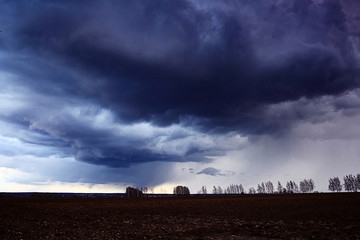 Fototapeta premium ground field clouds trees landscape