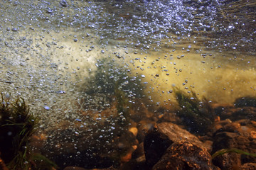 underwater mountain clear river / underwater photo in a freshwater river, fast current, air bubbles by water, underwater ecosystem landscape